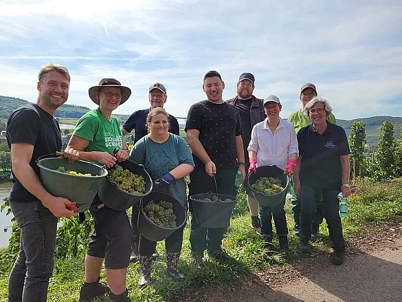 Bremer Senatswein 2025 ist gelesen  
˜ Bildnachweis: Senatsweinlese 2025: Senatorin Claudia Schilling (3 v.re.) und Ratskellermeister Frederik Janus (l.) mit einem Team von Martinshof und Ratskeller. Foto: Senatspressestelle